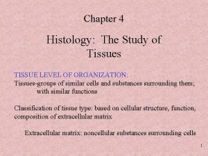 Chapter 4 Histology The Study of Tissues TISSUE