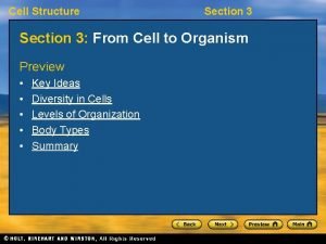 Cell Structure Section 3 From Cell to Organism