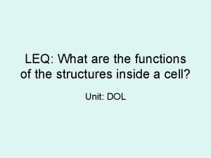 LEQ What are the functions of the structures