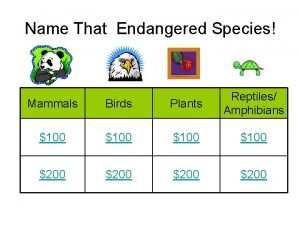 Name That Endangered Species Mammals Birds Plants Reptiles