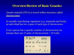 OverviewReview of Basic Genetics Genetic material DNA is