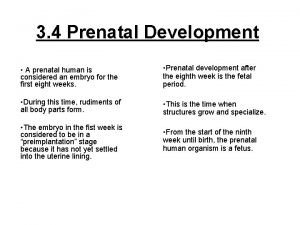 3 4 Prenatal Development A prenatal human is
