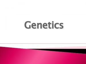 Allele example