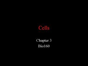 Cells Chapter 3 Bio 160 Plasma Membrane Plasma