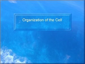 Organization of the Cell Cell Theory Cells are