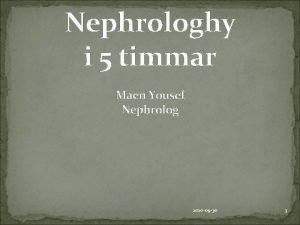 Nephrologhy i 5 timmar Maen Yousef Nephrolog 2020