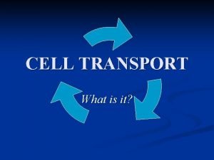 CELL TRANSPORT What is it Definition n n