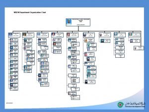 Hse department organization chart Hse department organization chart