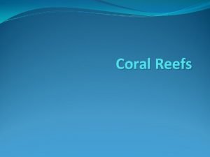 Coral Reefs INTRODUCTION Coral reefs are the most
