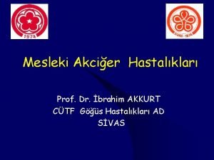 Mesleki Akcier Hastalklar Prof Dr brahim AKKURT CTF