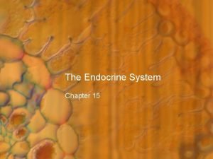 The Endocrine System Chapter 15 Introduction Nervous system