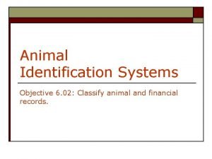 Animal id systems - assessment v