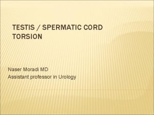 TESTIS SPERMATIC CORD TORSION Naser Moradi MD Assistant