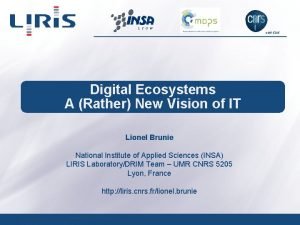 UMR 5205 Digital Ecosystems A Rather New Vision