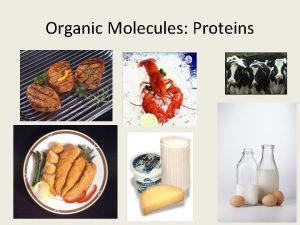 Organic Molecules Proteins Proteins Most structurally functionally diverse