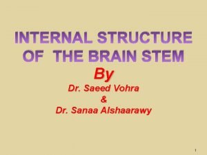 INTERNAL STRUCTURE OF THE BRAIN STEM By Dr