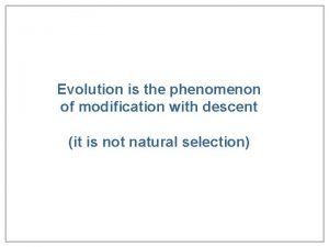 How are unaltered fossils formed How are unaltered fossils formed