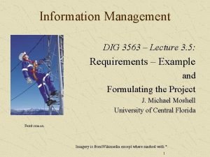 Information Management DIG 3563 Lecture 3 5 Requirements
