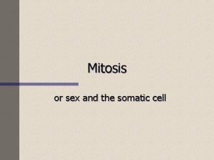 Mitosis or sex and the somatic cell Eukaryotes