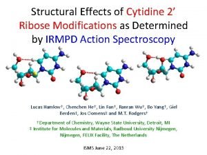 Structural Effects of Cytidine 2 Ribose Modifications as