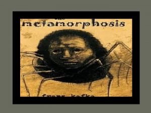 What is Metamorphosis The Metamorphosis is a novella