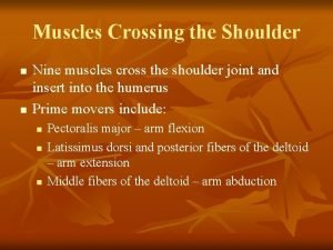 Muscles Crossing the Shoulder n n Nine muscles