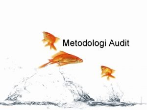 Phases of audit