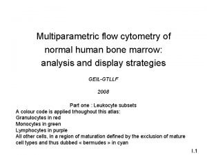 Multiparametric flow cytometry of normal human bone marrow