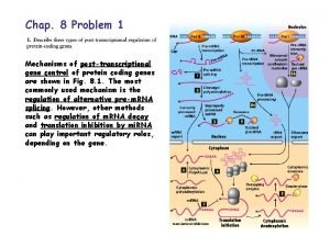 Chap 8 Problem 1 Mechanisms of posttranscriptional gene