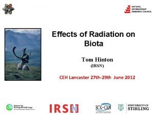Effects of Radiation on Biota Tom Hinton IRSN
