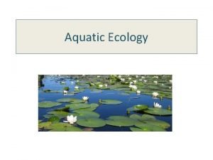 Aquatic Ecology Environmental Factors for Aquatic Life Light