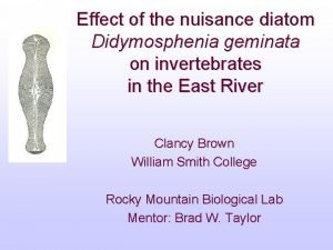 Effect of the nuisance diatom Didymosphenia geminata on