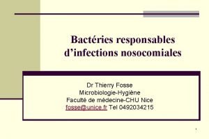 Coques bacterie