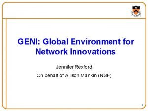 Global environment for network innovations