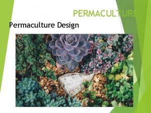 PERMACULTURE Permaculture Design Permaculture Design Process Needs of