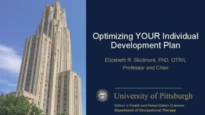 Optimizing YOUR Individual Development Plan Elizabeth R Skidmore