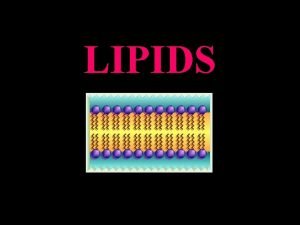 LIPIDS LIPIDS The lipids are a large and