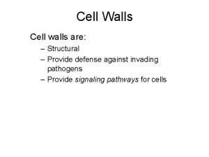 Cell Walls Cell walls are Structural Provide defense