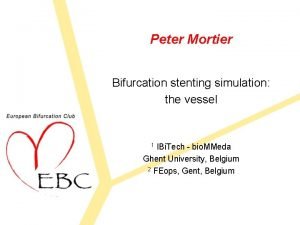 Peter Mortier Bifurcation stenting simulation the vessel IBi