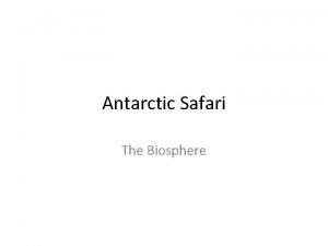 Antarctic Safari The Biosphere Antarctic Fauna Toothfish Adelie
