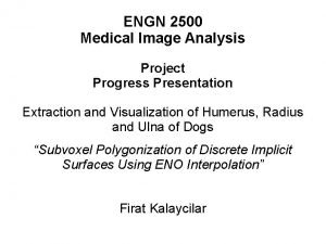 ENGN 2500 Medical Image Analysis Project Progress Presentation