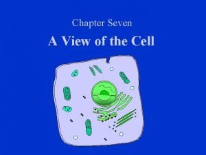 Chapter Seven A View of the Cell Cellular