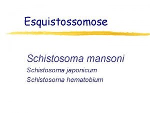 Esquistossomose Schistosoma mansoni Schistosoma japonicum Schistosoma hematobium Paisagem