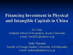 Financing Investment in Physical and Intangible Capitals in