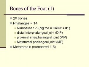 Bones of the Foot 1 n 26 bones