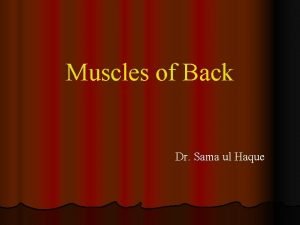 Back muscle layers