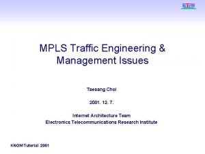 MPLS Traffic Engineering Management Issues Taesang Choi 2001