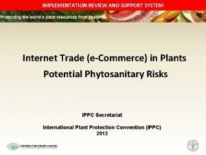 IMPLEMENTATION REVIEW AND SUPPORT SYSTEM Internet Trade eCommerce