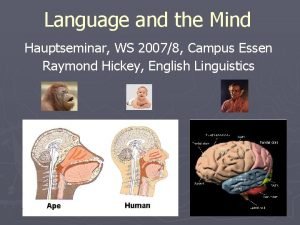 Language and the Mind Hauptseminar WS 20078 Campus