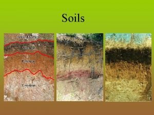 Soil horizon parent material